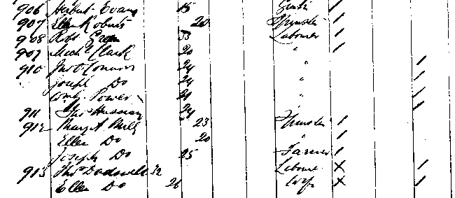 Passenger list for John Linn